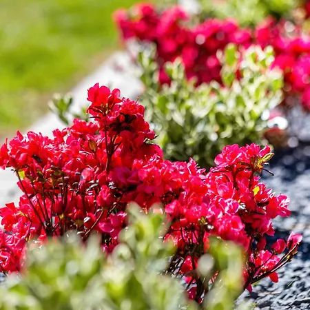 Haus Miriam 別荘 Walchum