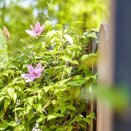 別荘 Haus Miriam Walchum