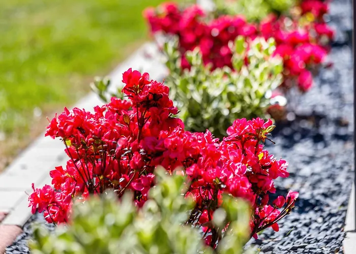 Haus Miriam Hébergement de vacances Walchum