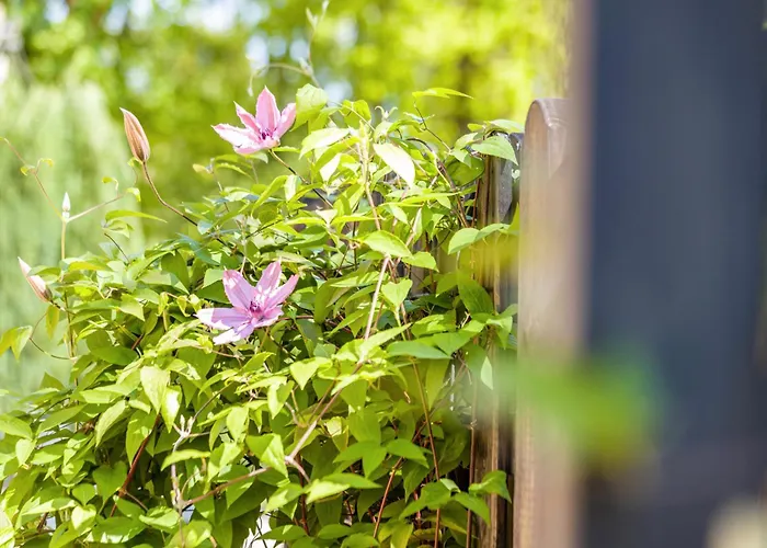 Hébergement de vacances Haus Miriam Walchum